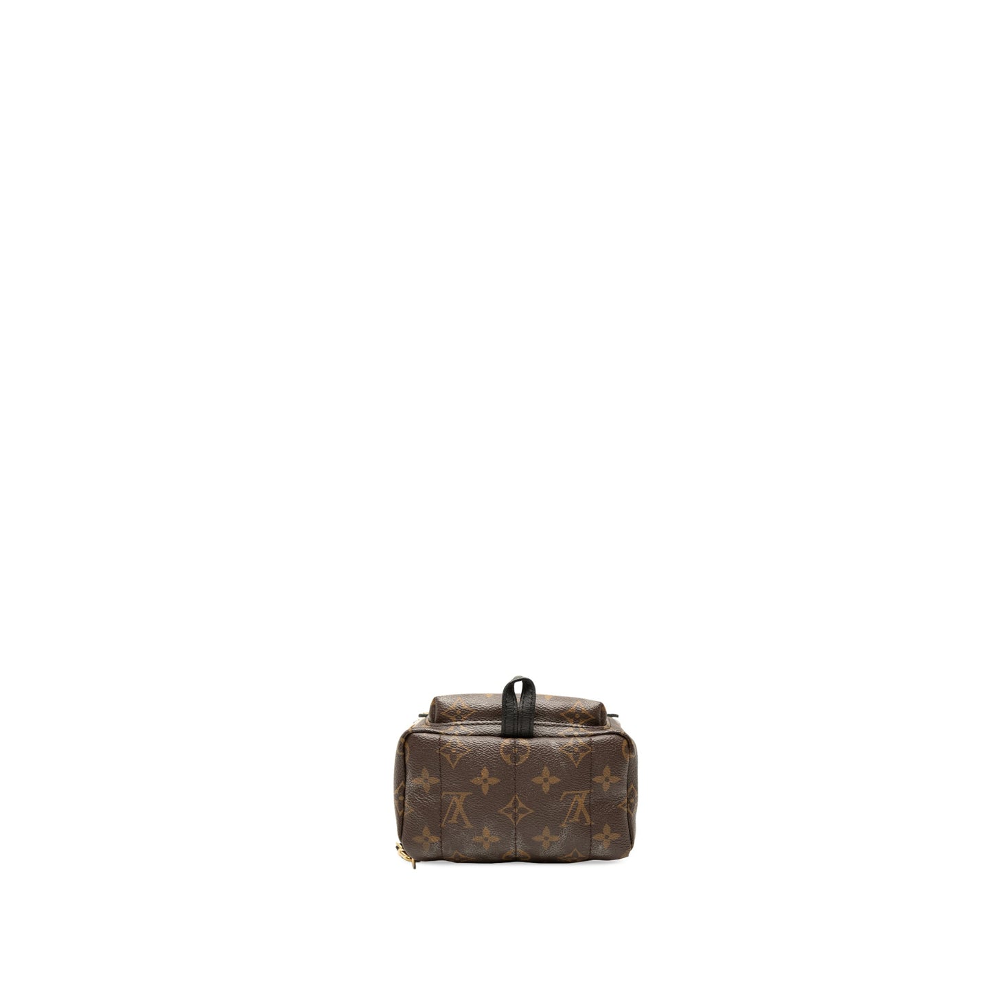 Louis Vuitton Monogram World Tour Mini Palm Springs