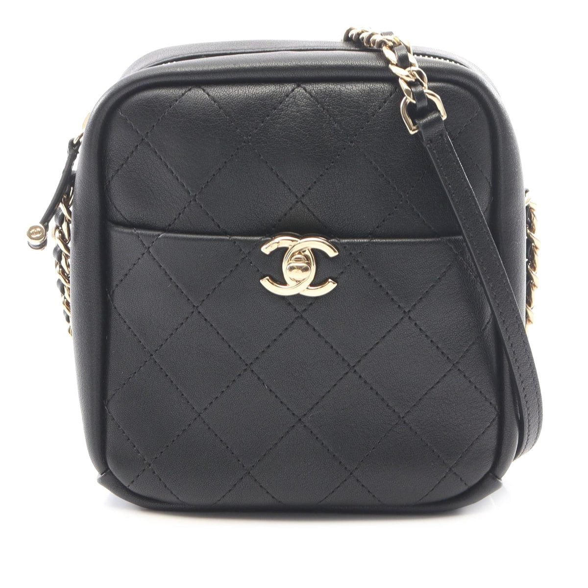 Chanel Stitched Goatskin Casual Trip North South Camera Case