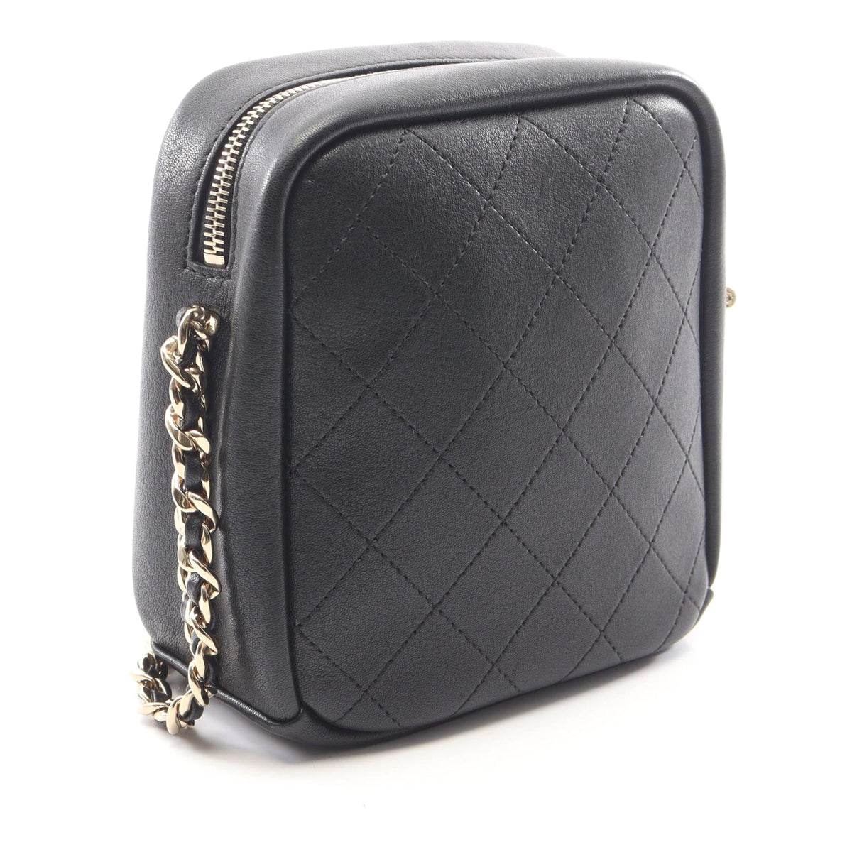Chanel Stitched Goatskin Casual Trip North South Camera Case