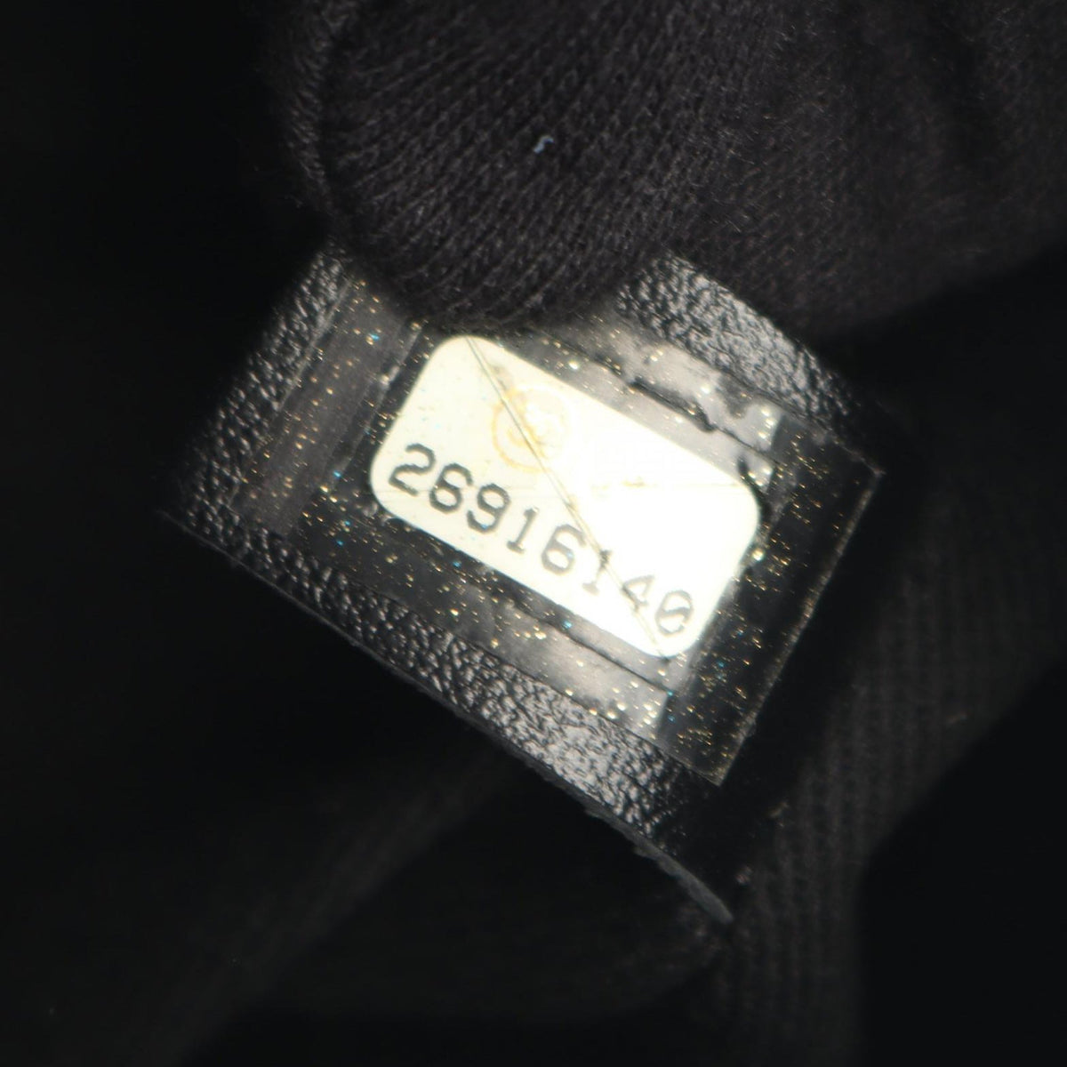 Chanel Stitched Goatskin Casual Trip North South Camera Case