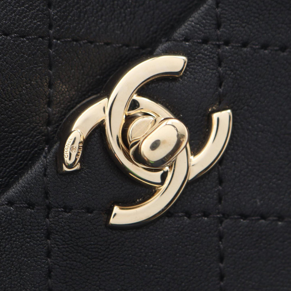 Chanel Stitched Goatskin Casual Trip North South Camera Case