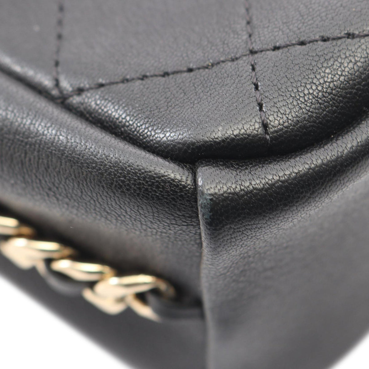 Chanel Stitched Goatskin Casual Trip North South Camera Case