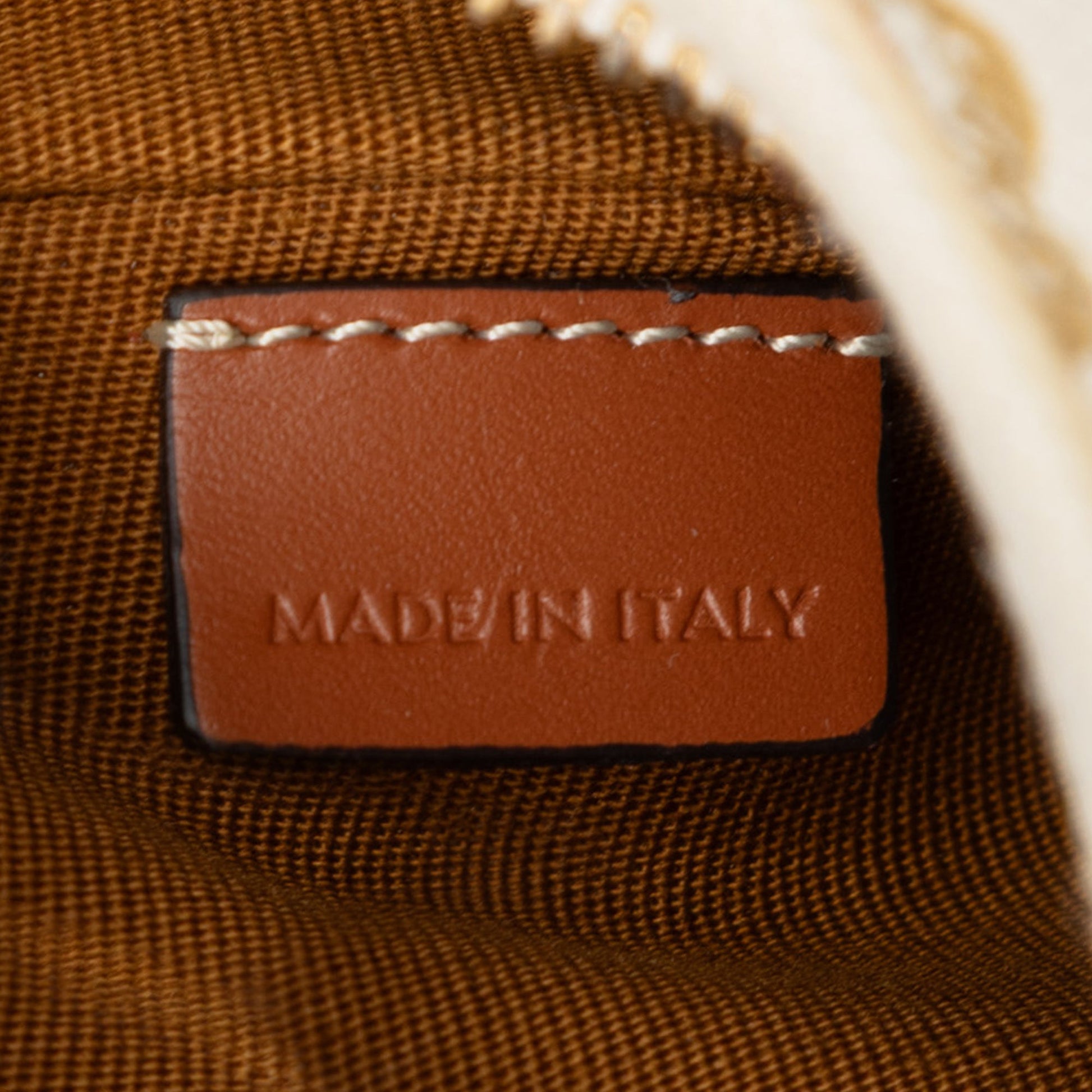 Celine Mini Triomphe Coated Canvas Ava Shoulder Bag