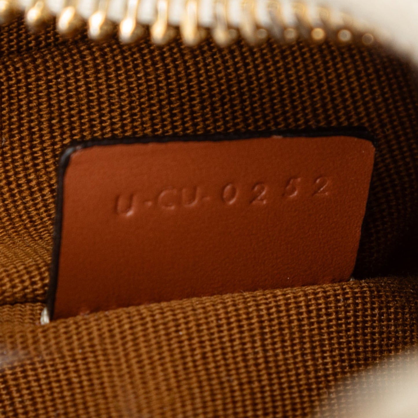 Celine Mini Triomphe Coated Canvas Ava Shoulder Bag