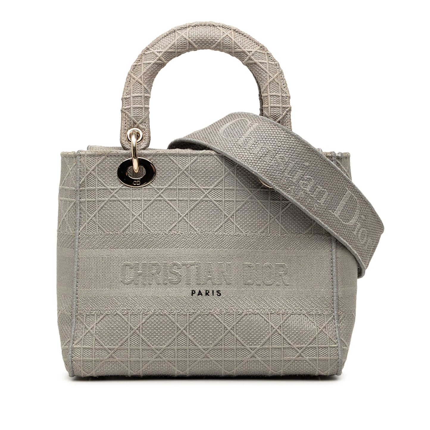 Dior Medium Embroidered Canvas Cannage Lady D Lite