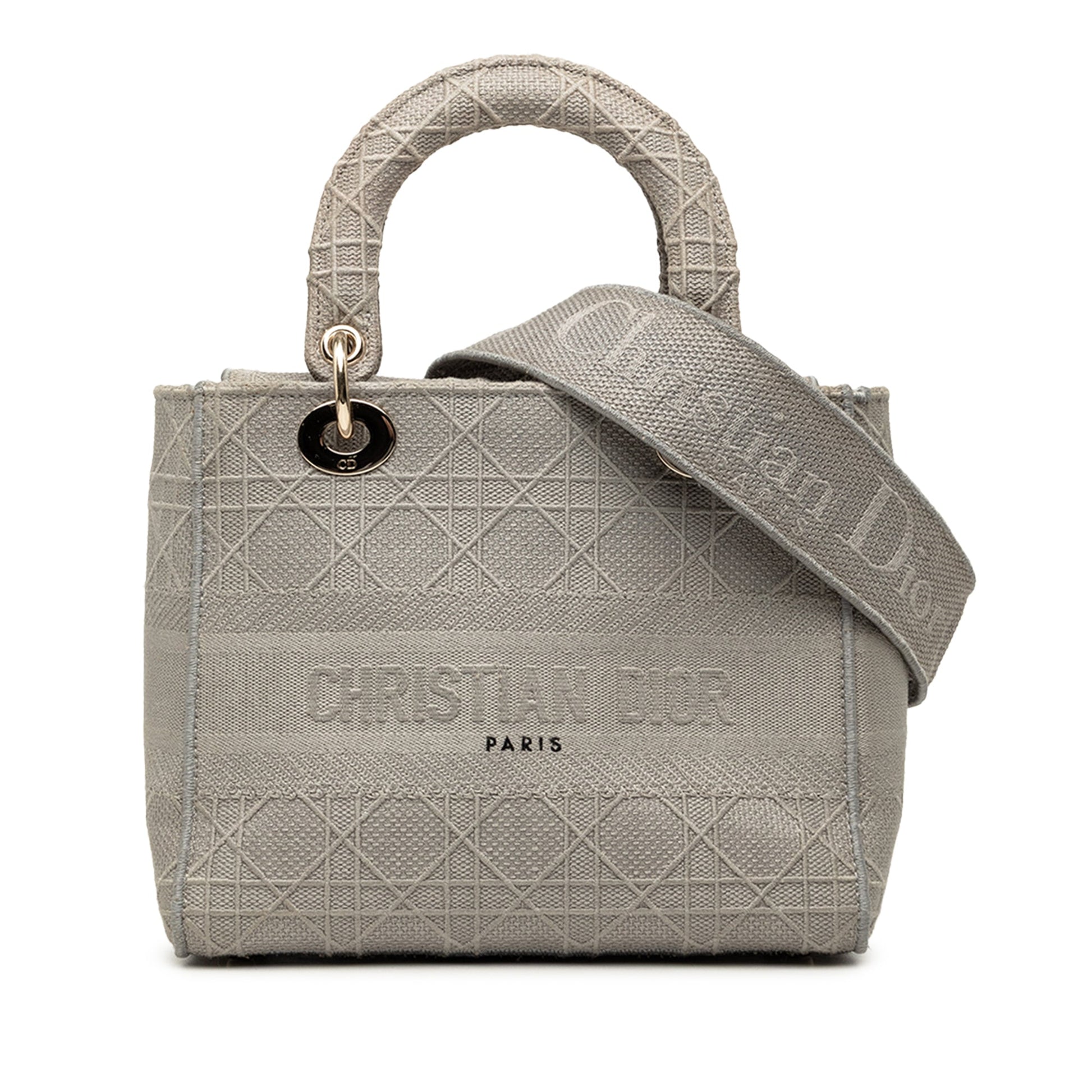 Dior Medium Embroidered Canvas Cannage Lady D Lite
