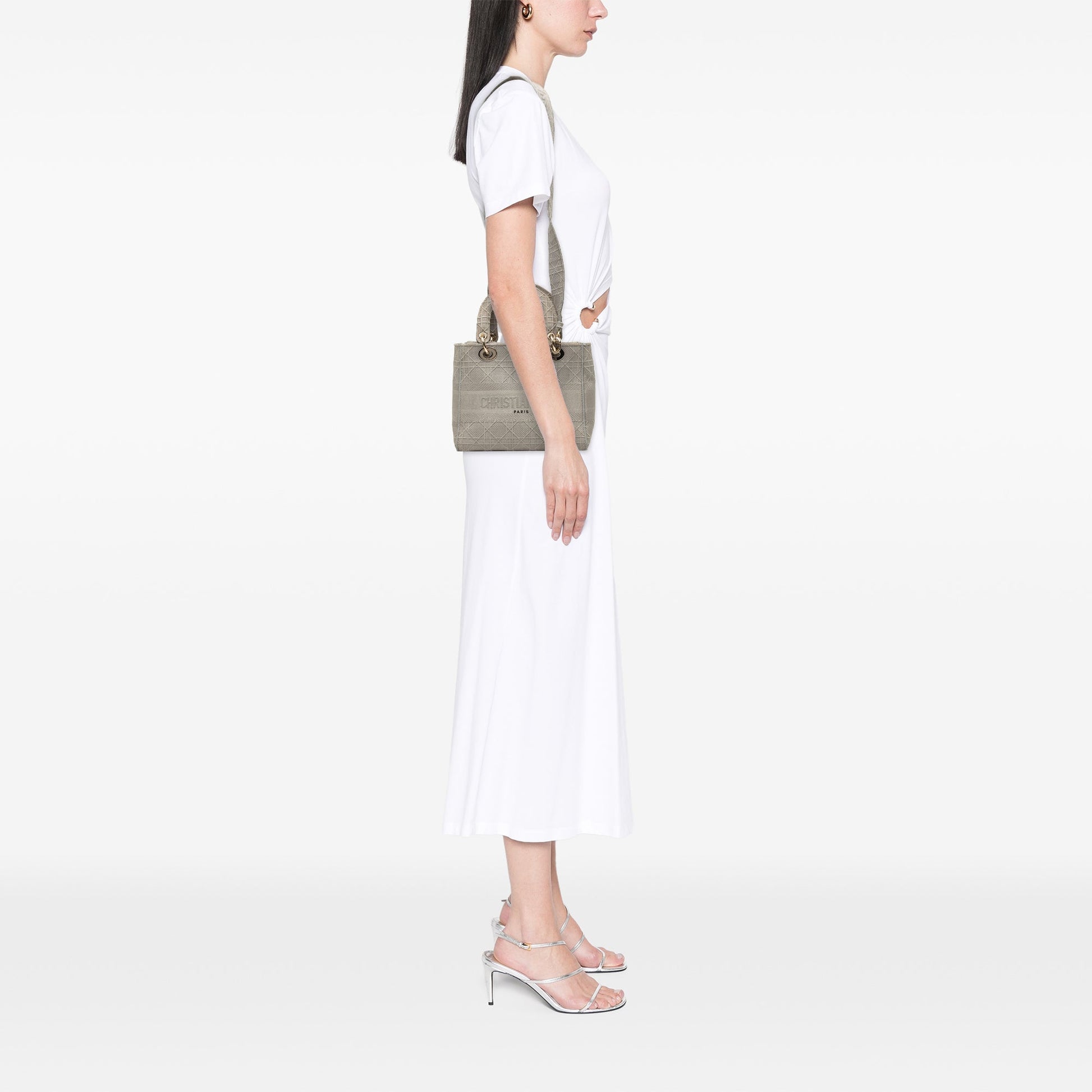 Dior Medium Embroidered Canvas Cannage Lady D Lite