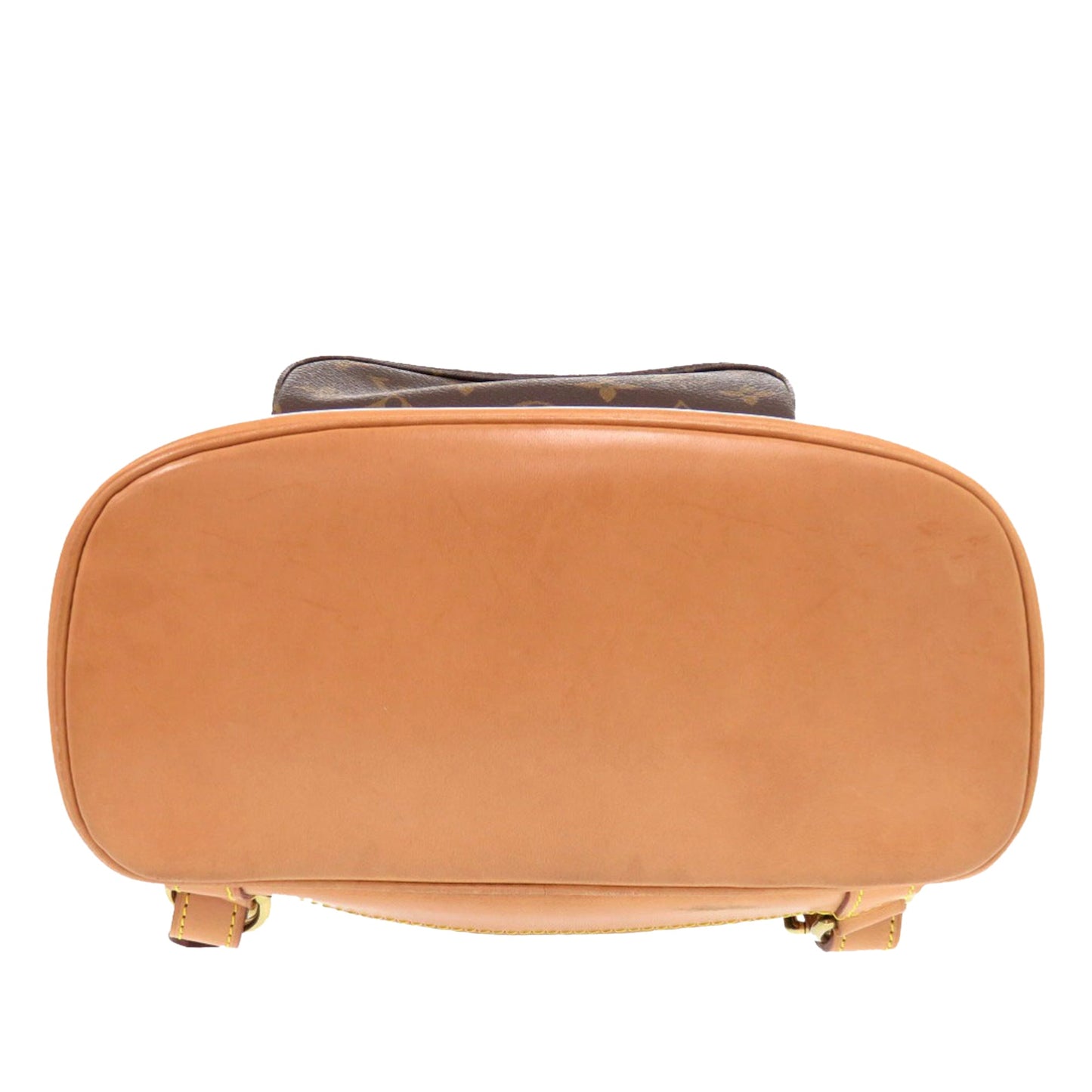 Louis Vuitton Monogram Montsouris MM