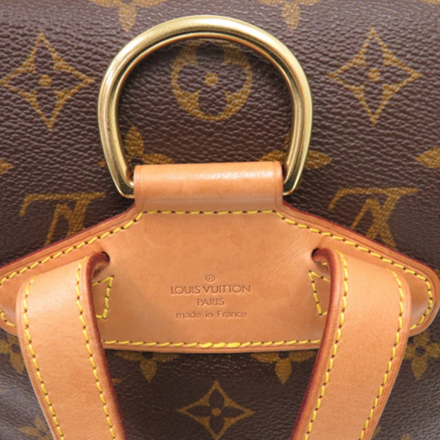 Louis Vuitton Monogram Montsouris MM