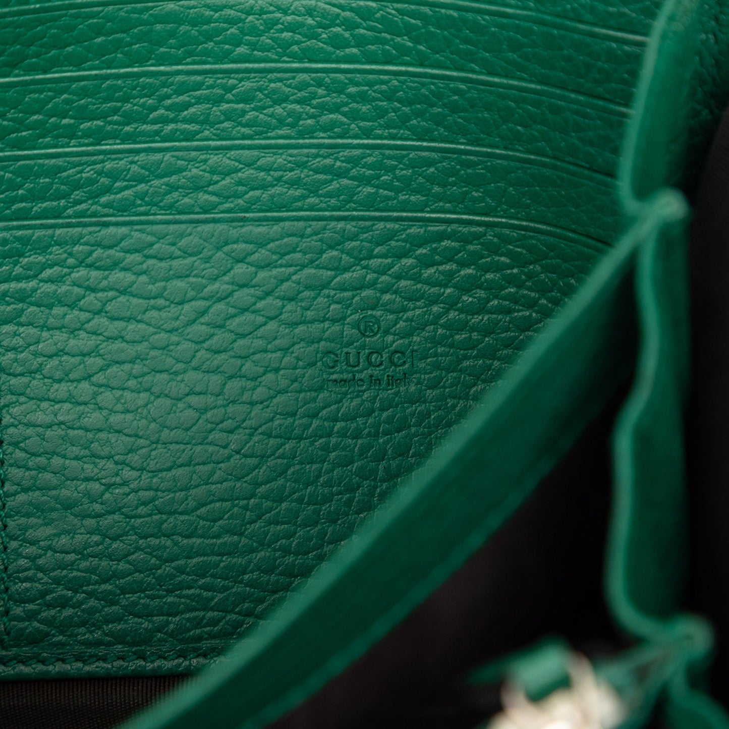 Gucci Leather Dionysus Wallet on Chain