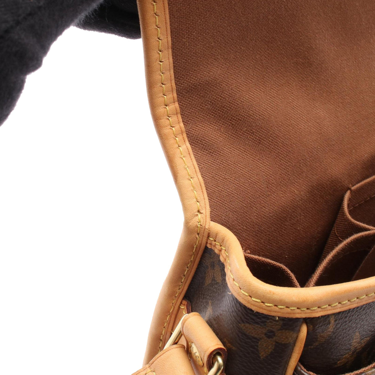 Louis Vuitton Monogram Sologne