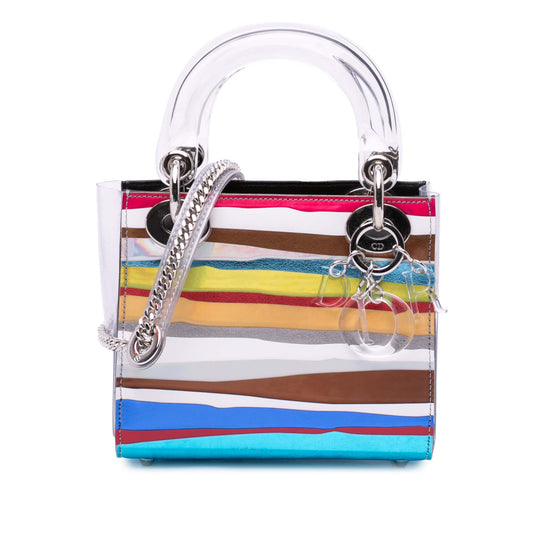 Dior Wang Guangle Medium PVC Technical Fabric Lady Dior