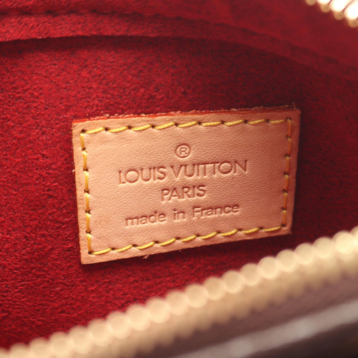 Louis Vuitton Monogram Viva Cite PM