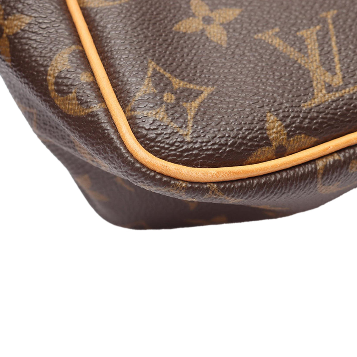 Louis Vuitton Monogram Viva Cite PM
