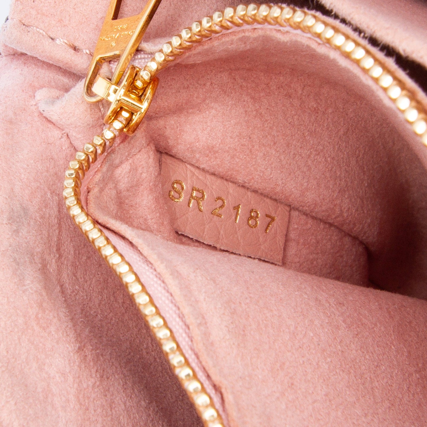 Louis Vuitton Damier Ebene Cuir Taurillon Wight