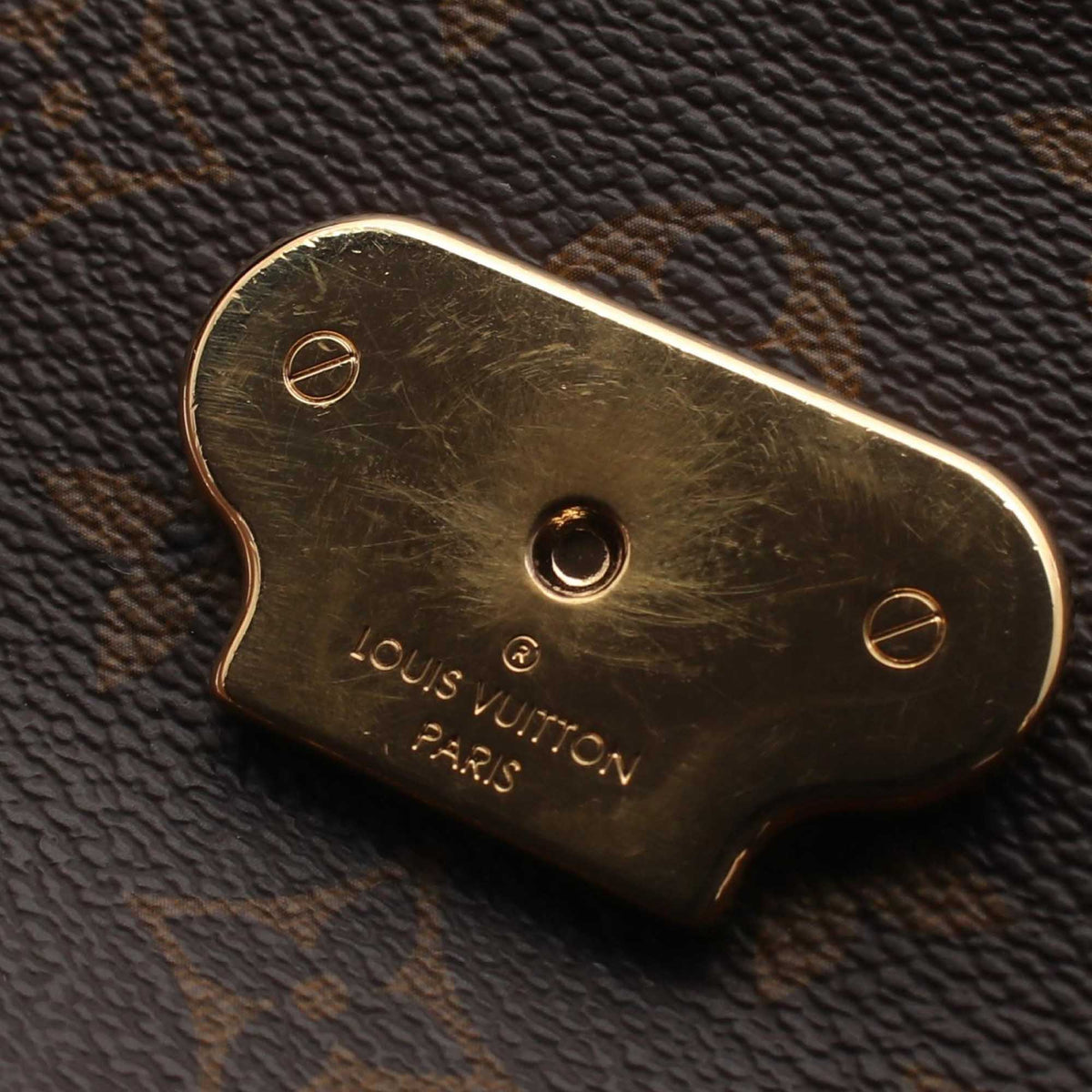 Louis Vuitton Monogram Saint Placide
