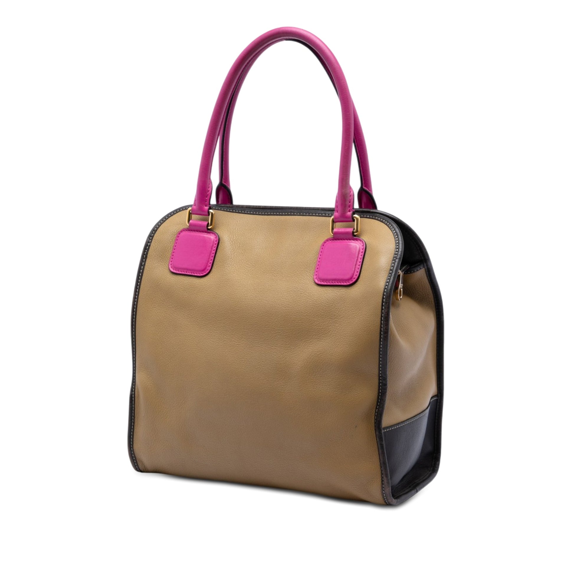 LOEWE Tricolor Leather Anagram Handbag