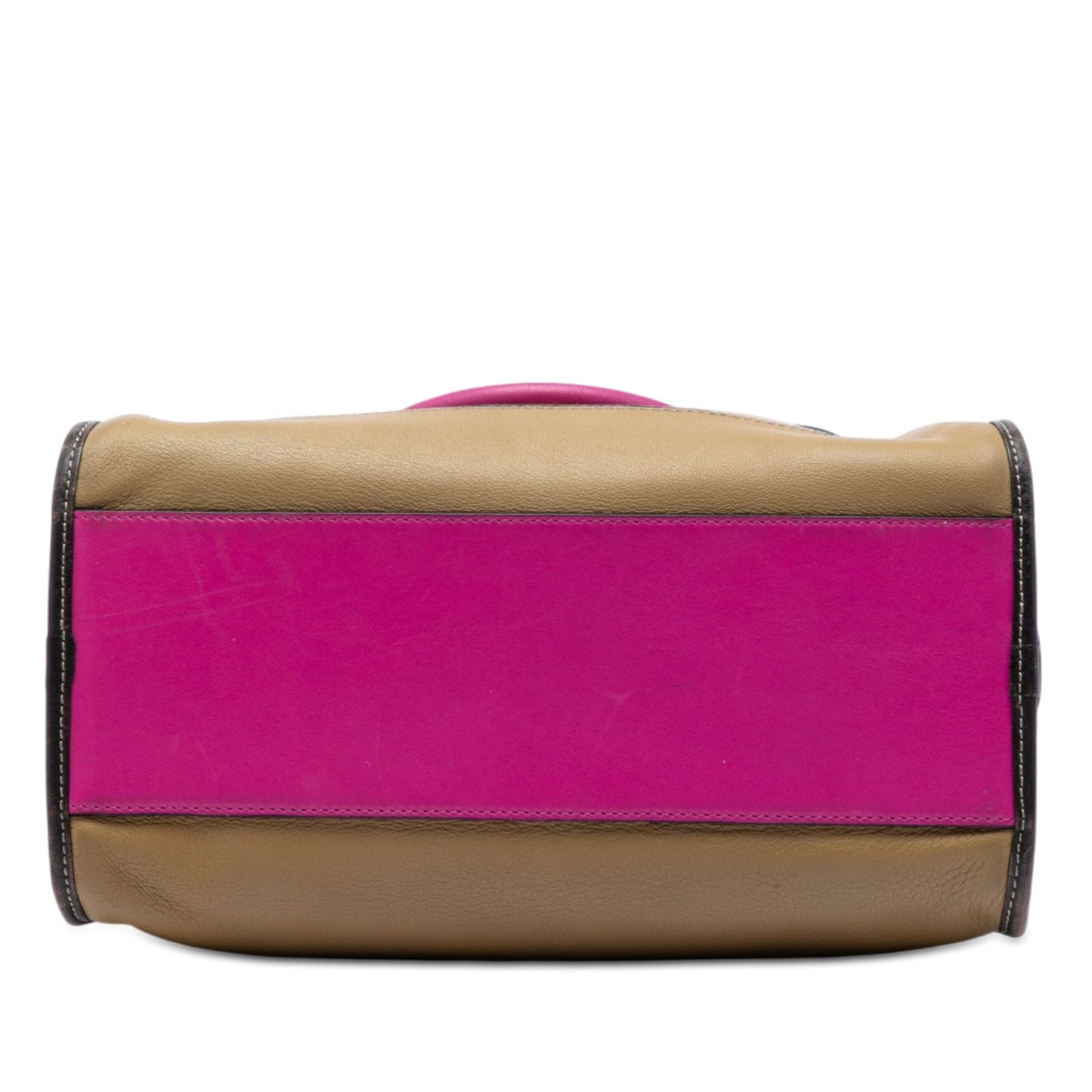 LOEWE Tricolor Leather Anagram Handbag