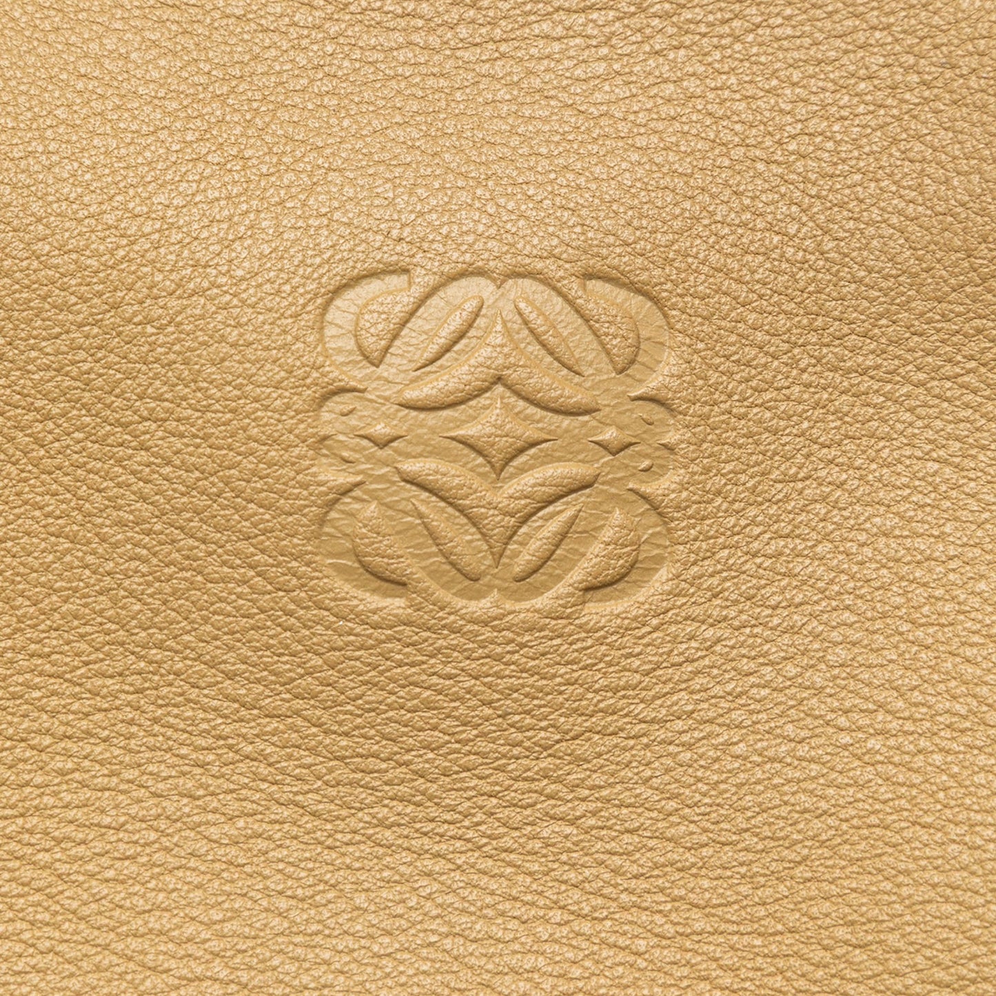 LOEWE Tricolor Leather Anagram Handbag