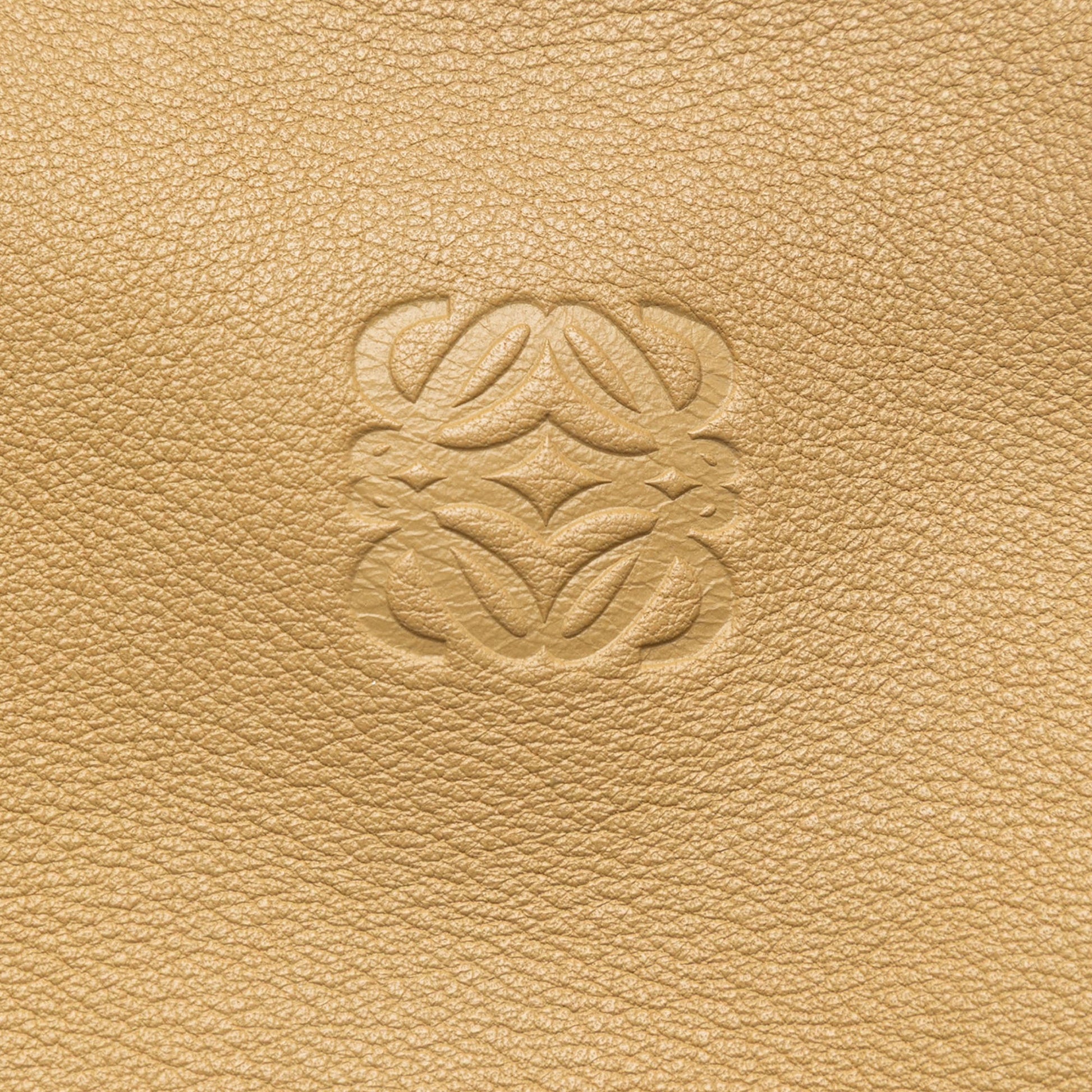 LOEWE Tricolor Leather Anagram Handbag