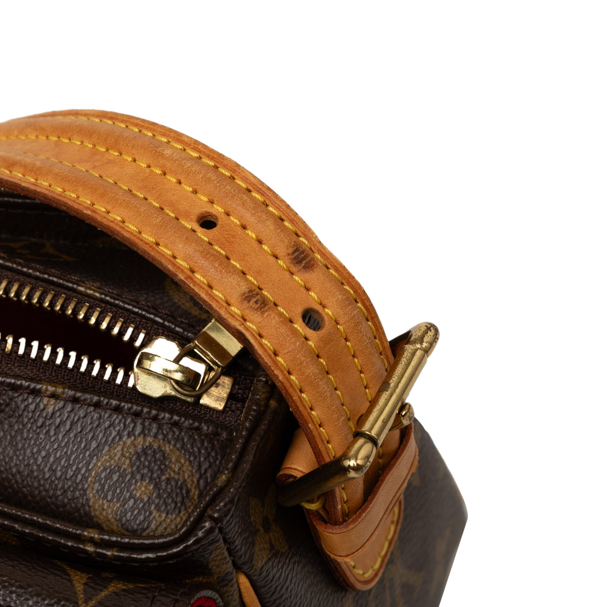 Louis Vuitton Monogram Viva Cite MM
