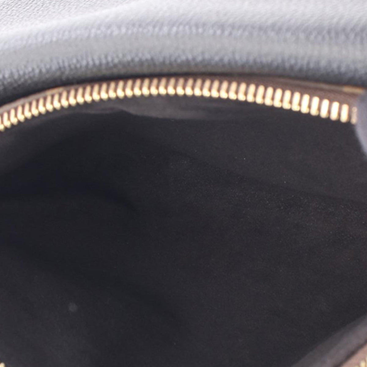 Louis Vuitton Monogram Twice
