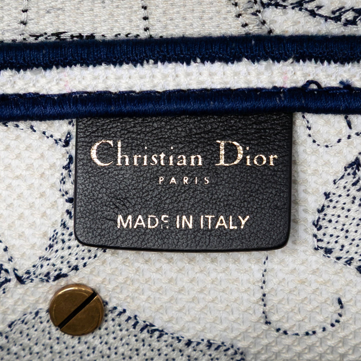 Dior Canvas Embroidered Around the World Saddle Bag