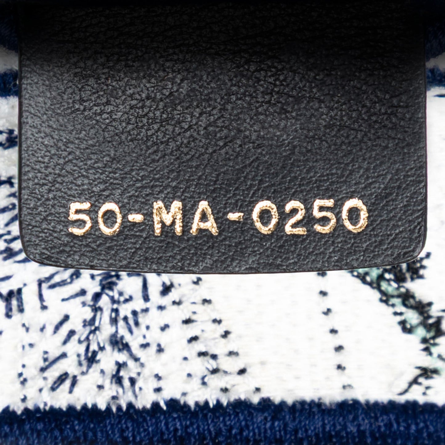 Dior Canvas Embroidered Around the World Saddle Bag