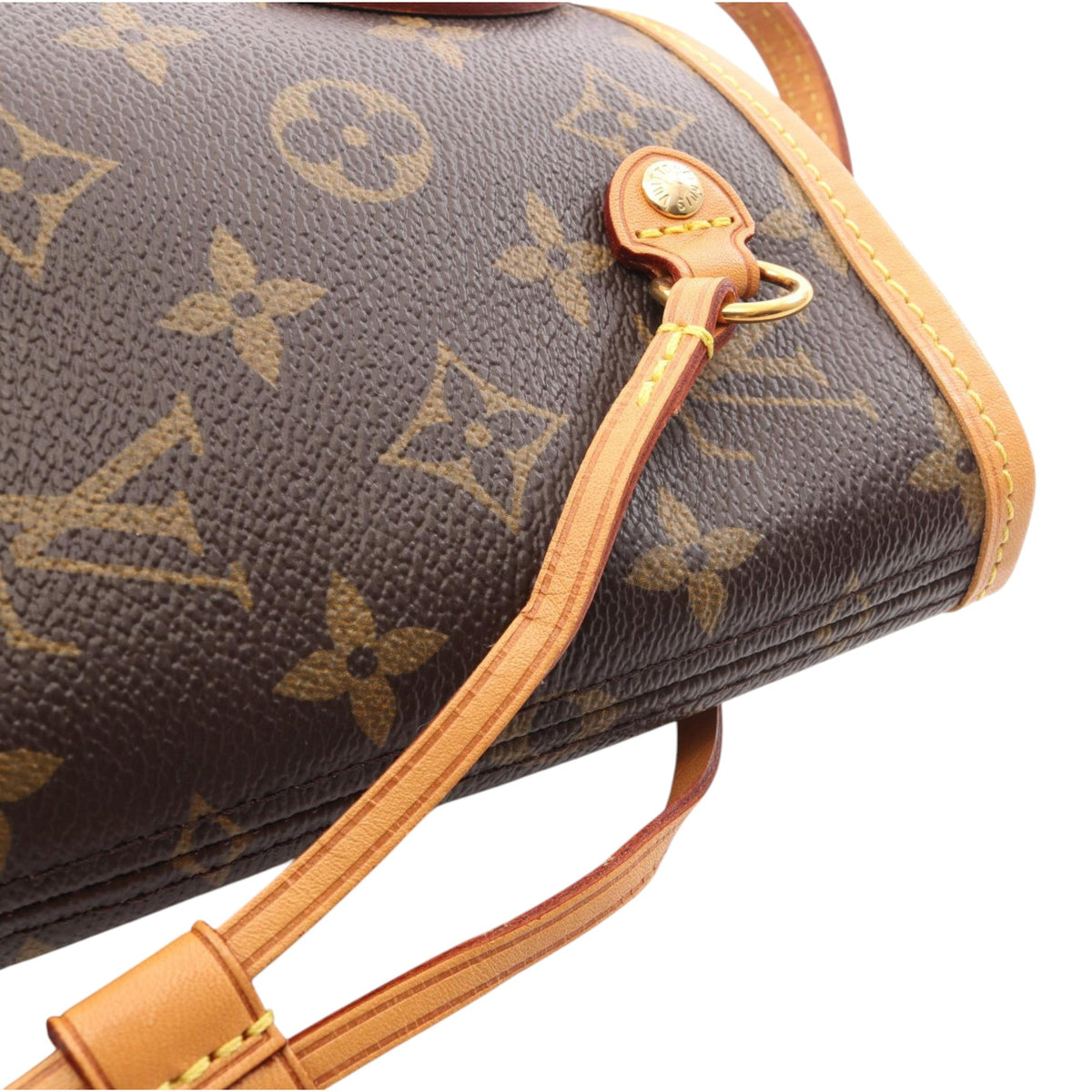 Louis Vuitton Monogram Neverfull PM
