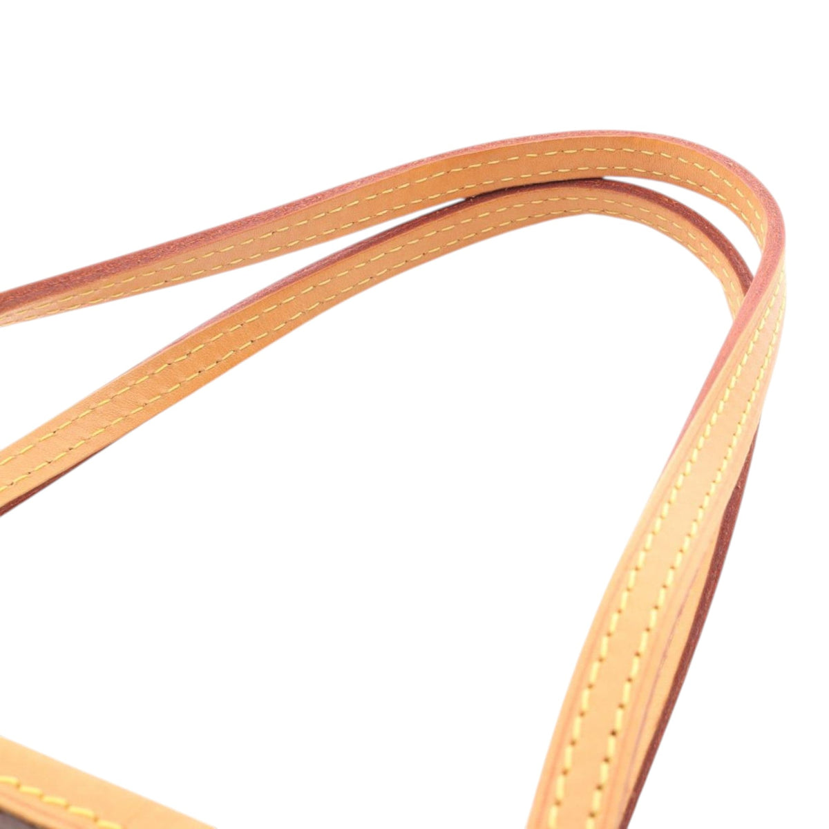 Louis Vuitton Monogram Neverfull PM