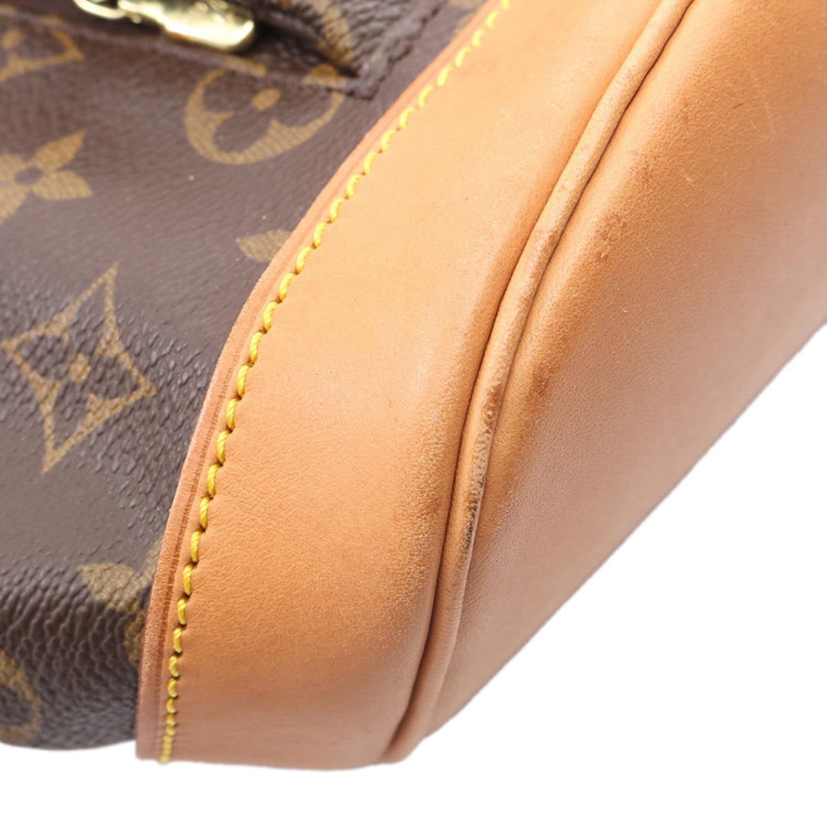 Louis Vuitton Monogram Montsouris MM — Brown