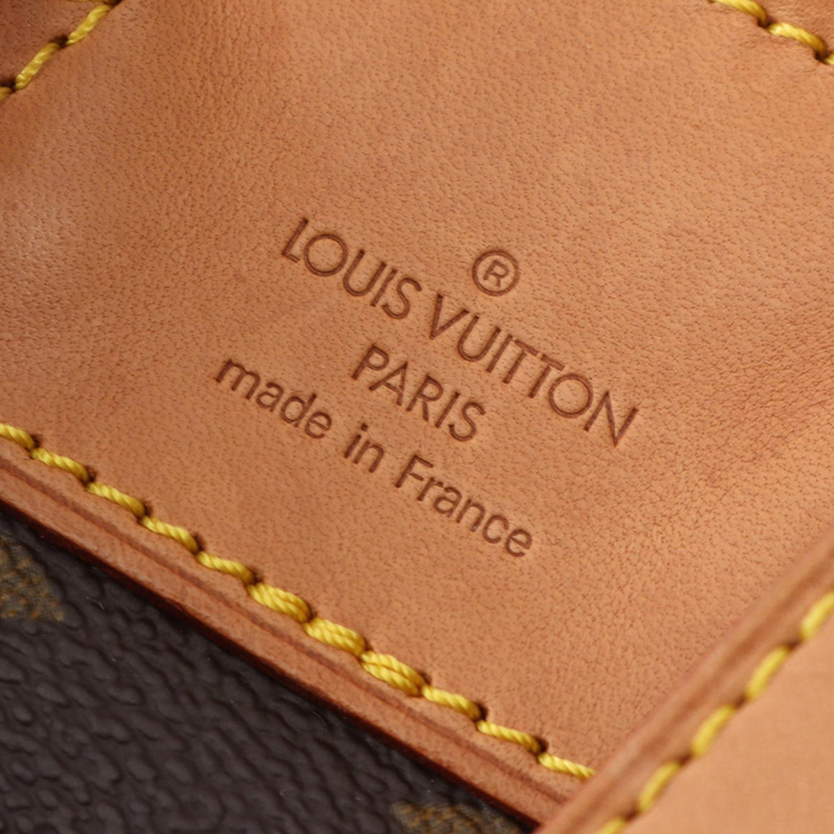 Louis Vuitton Monogram Montsouris MM — Brown