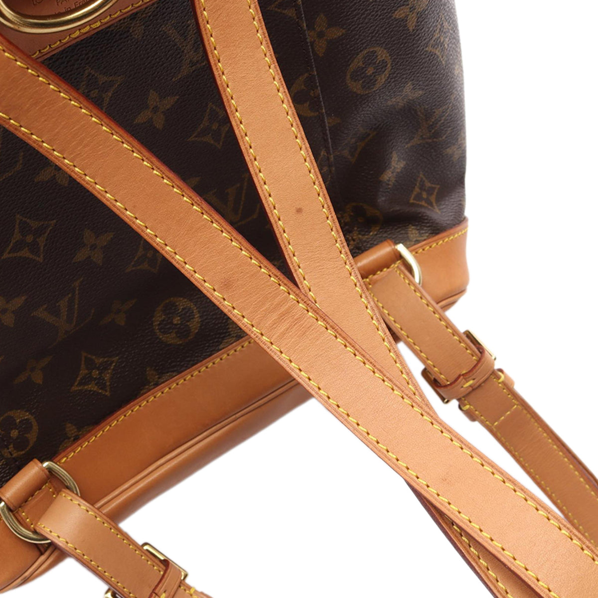 Louis Vuitton Monogram Montsouris MM — Brown