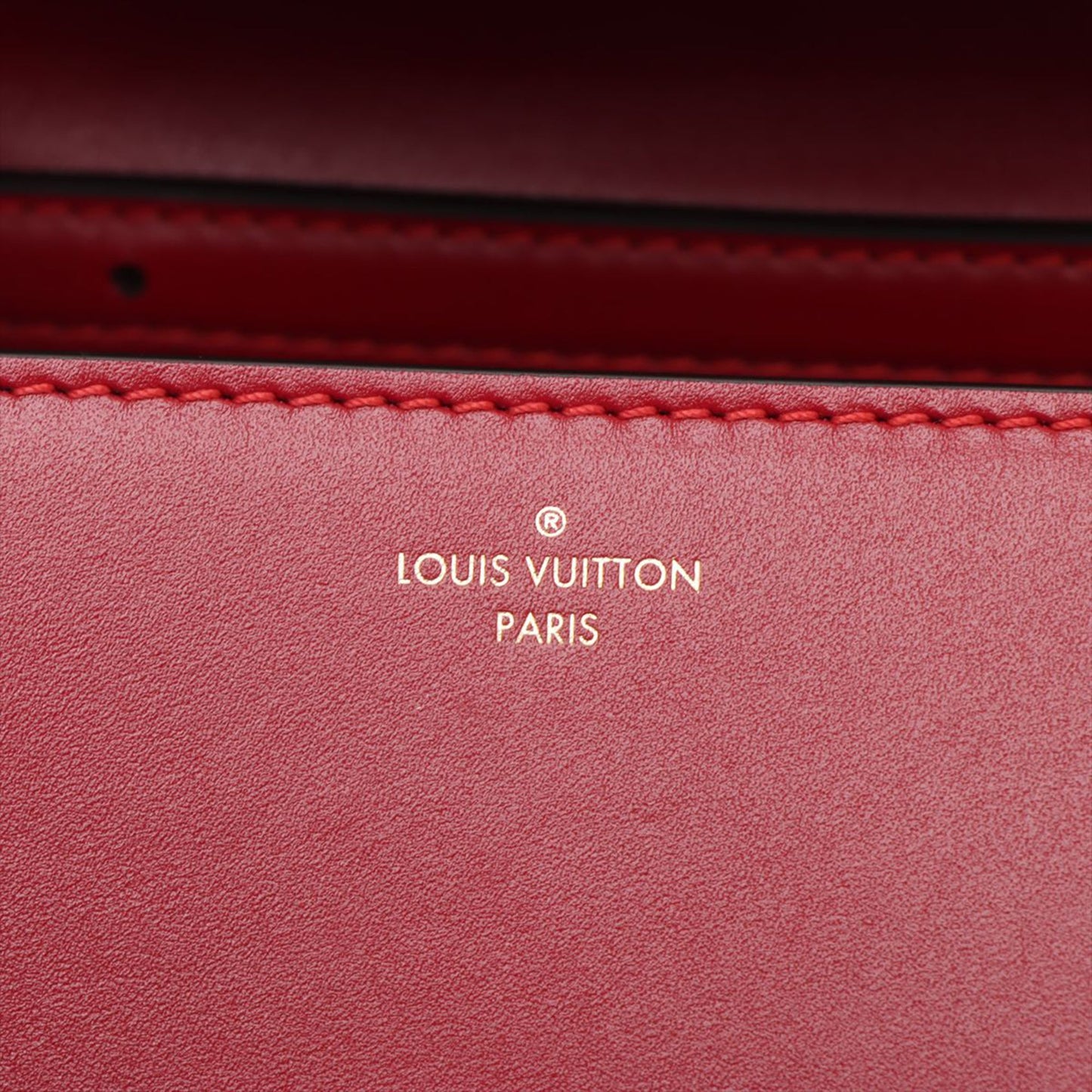 Louis Vuitton Leather Orsay MM