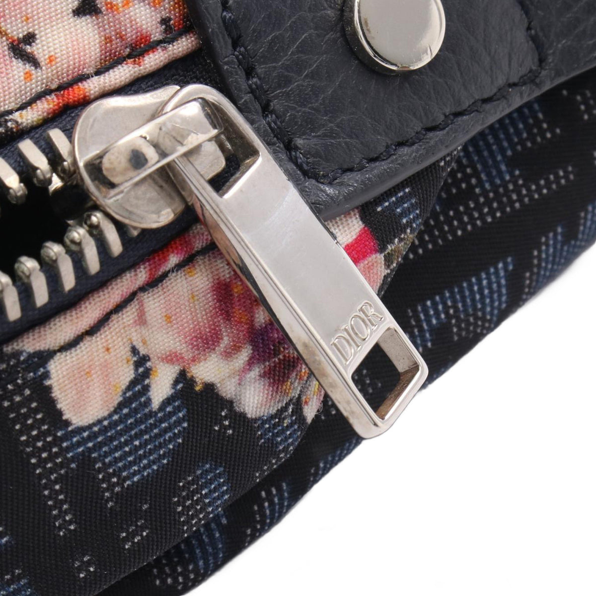 Dior Dior Sorayama Oblique Backpack