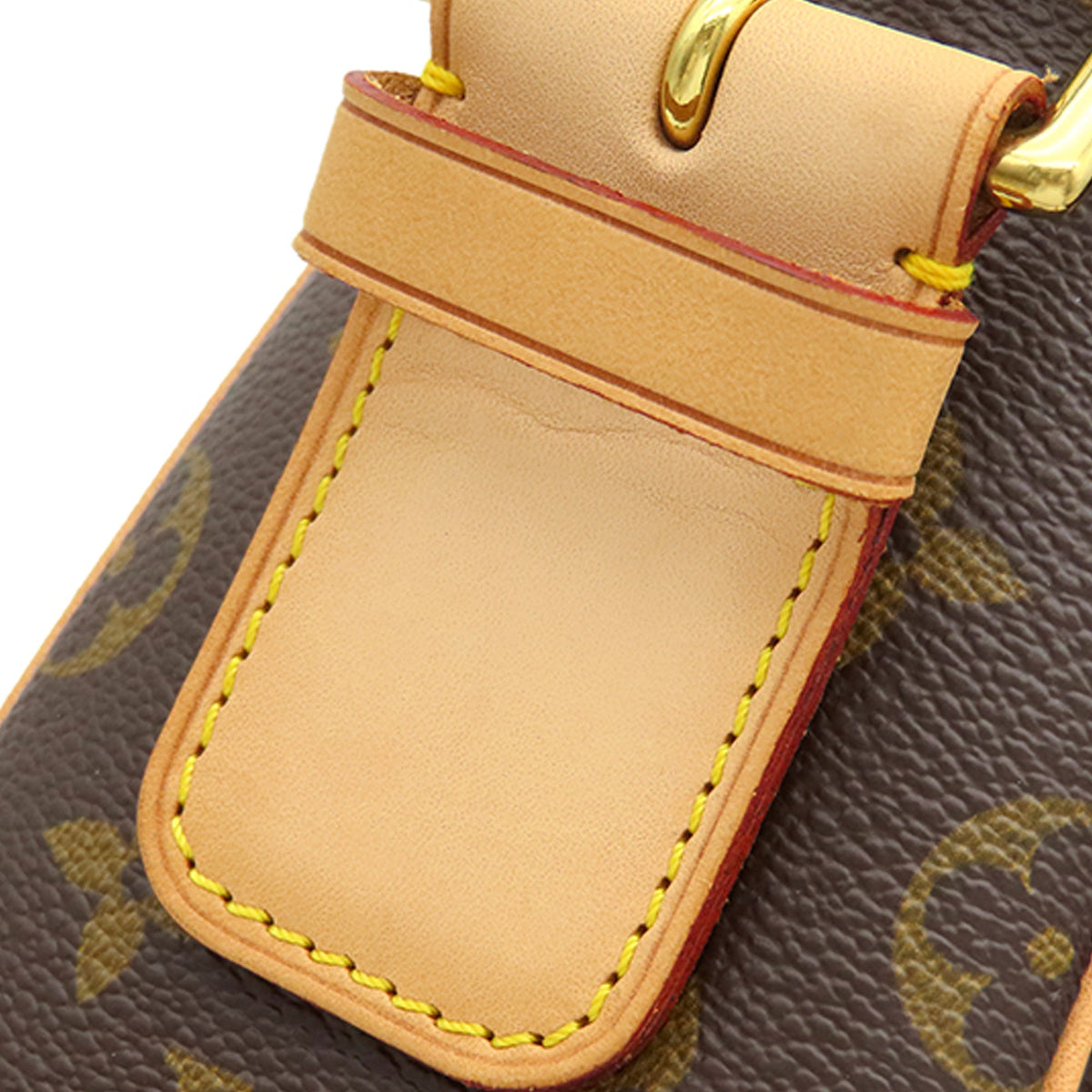 Louis Vuitton Monogram Viva Cite GM