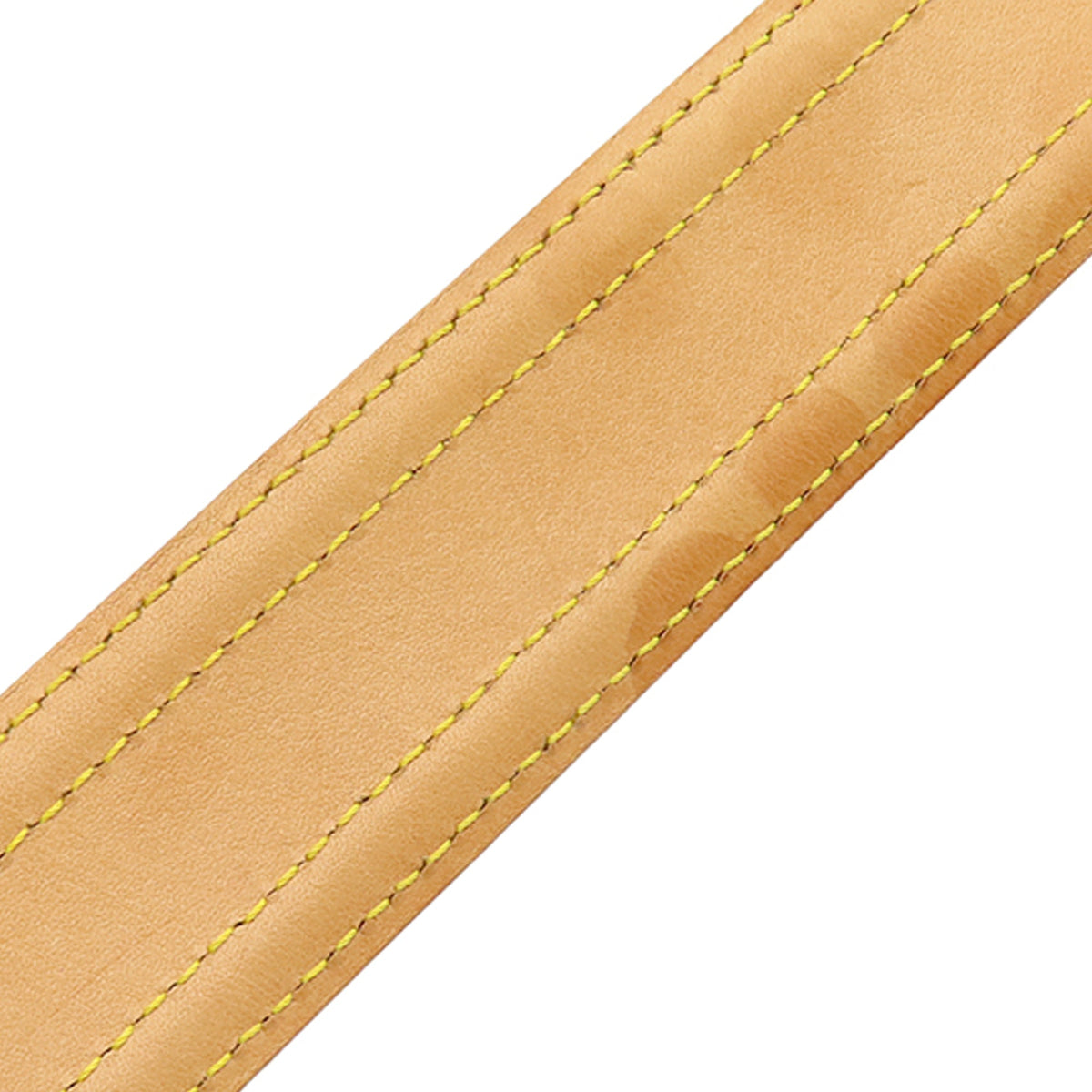 Louis Vuitton Monogram Viva Cite GM