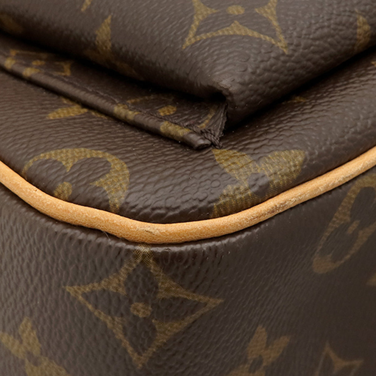 Louis Vuitton Monogram Viva Cite GM
