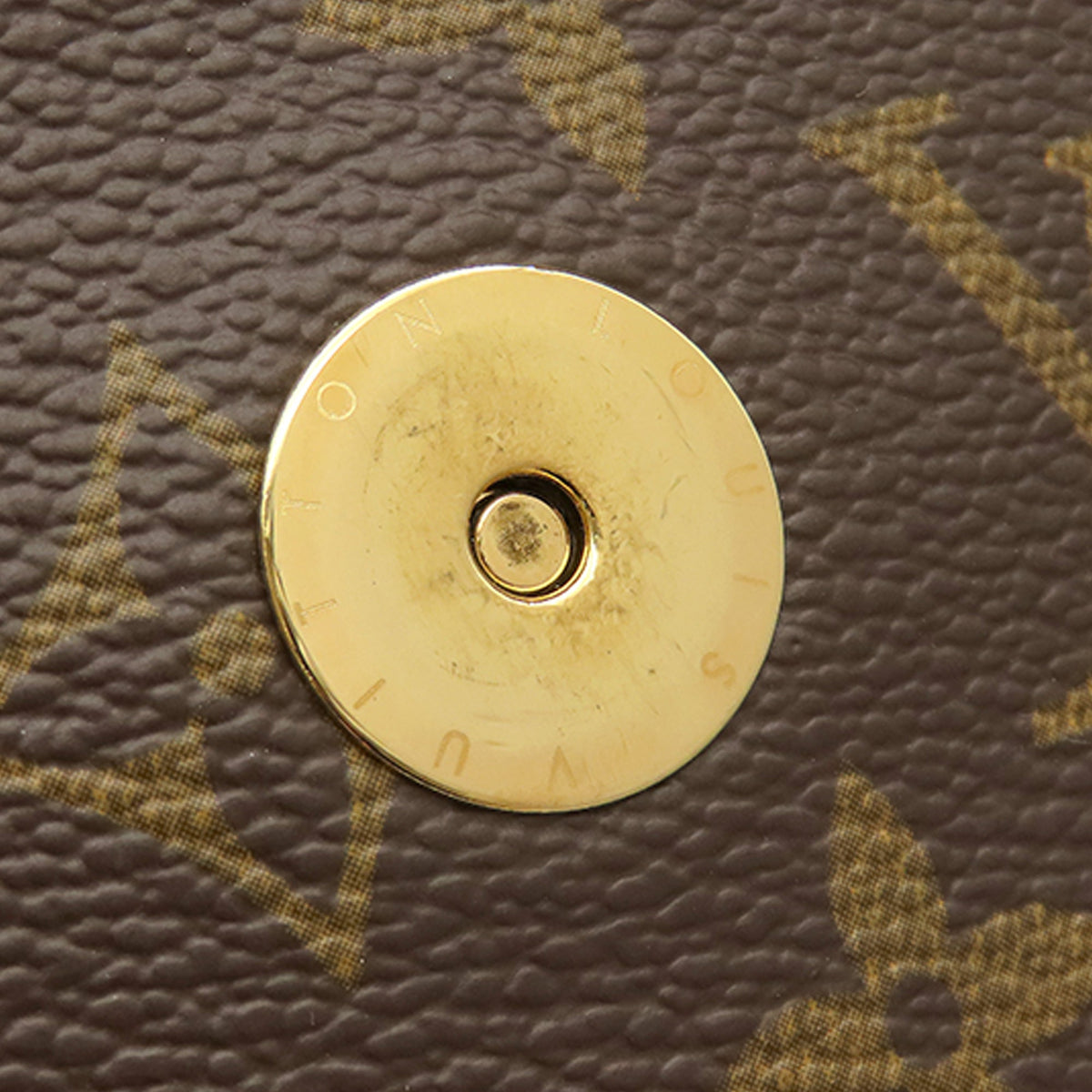 Louis Vuitton Monogram Viva Cite GM