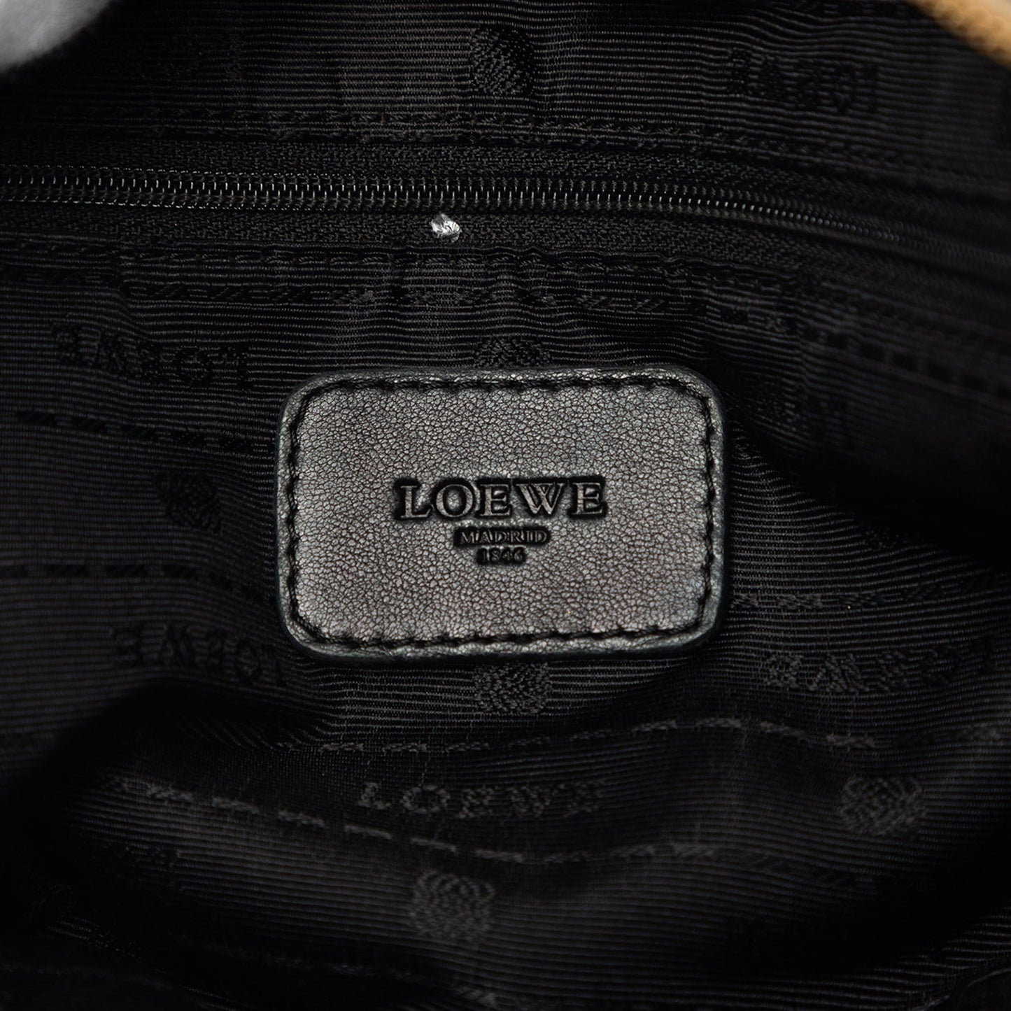 LOEWE Metallic Leather Amazona 35