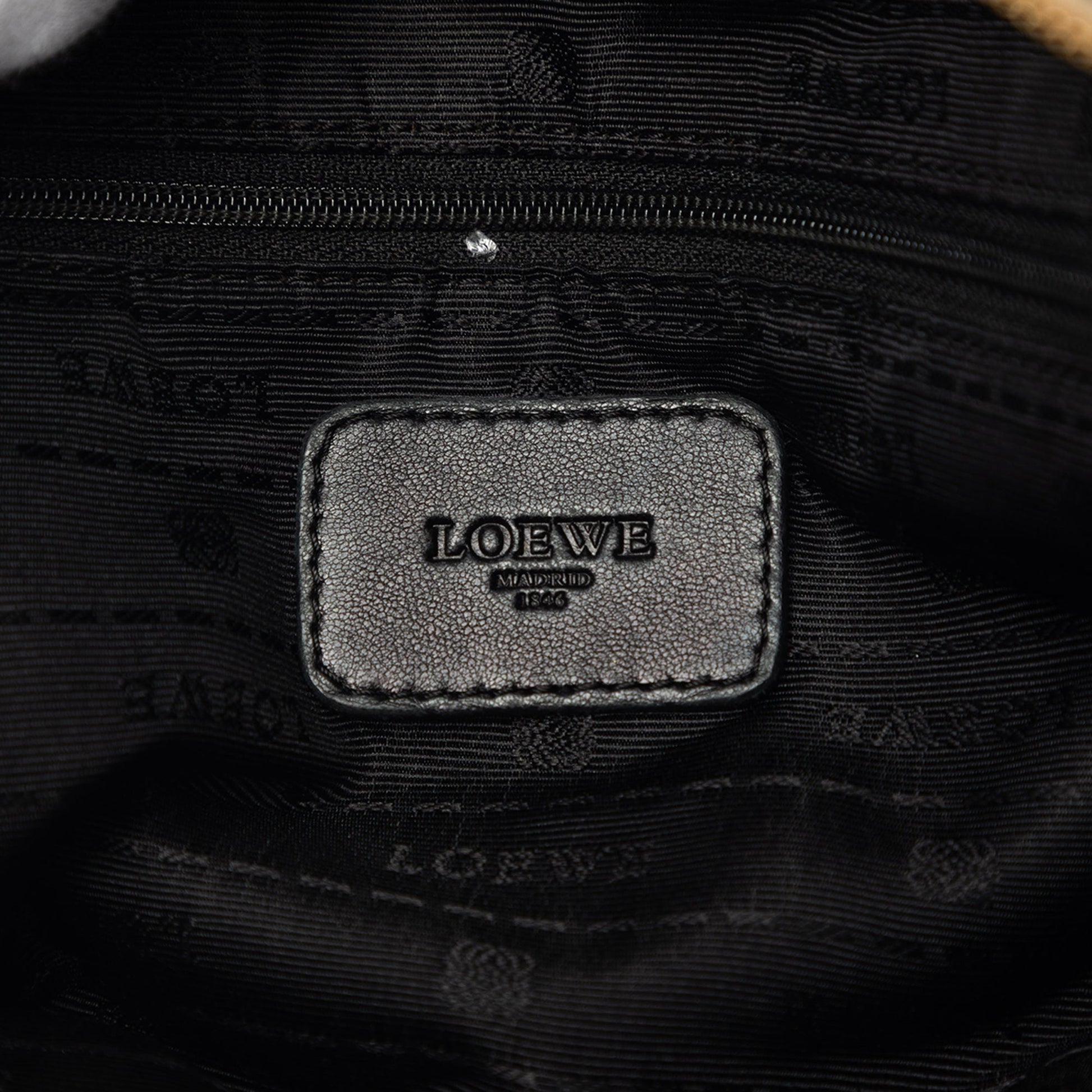 LOEWE Metallic Leather Amazona 35