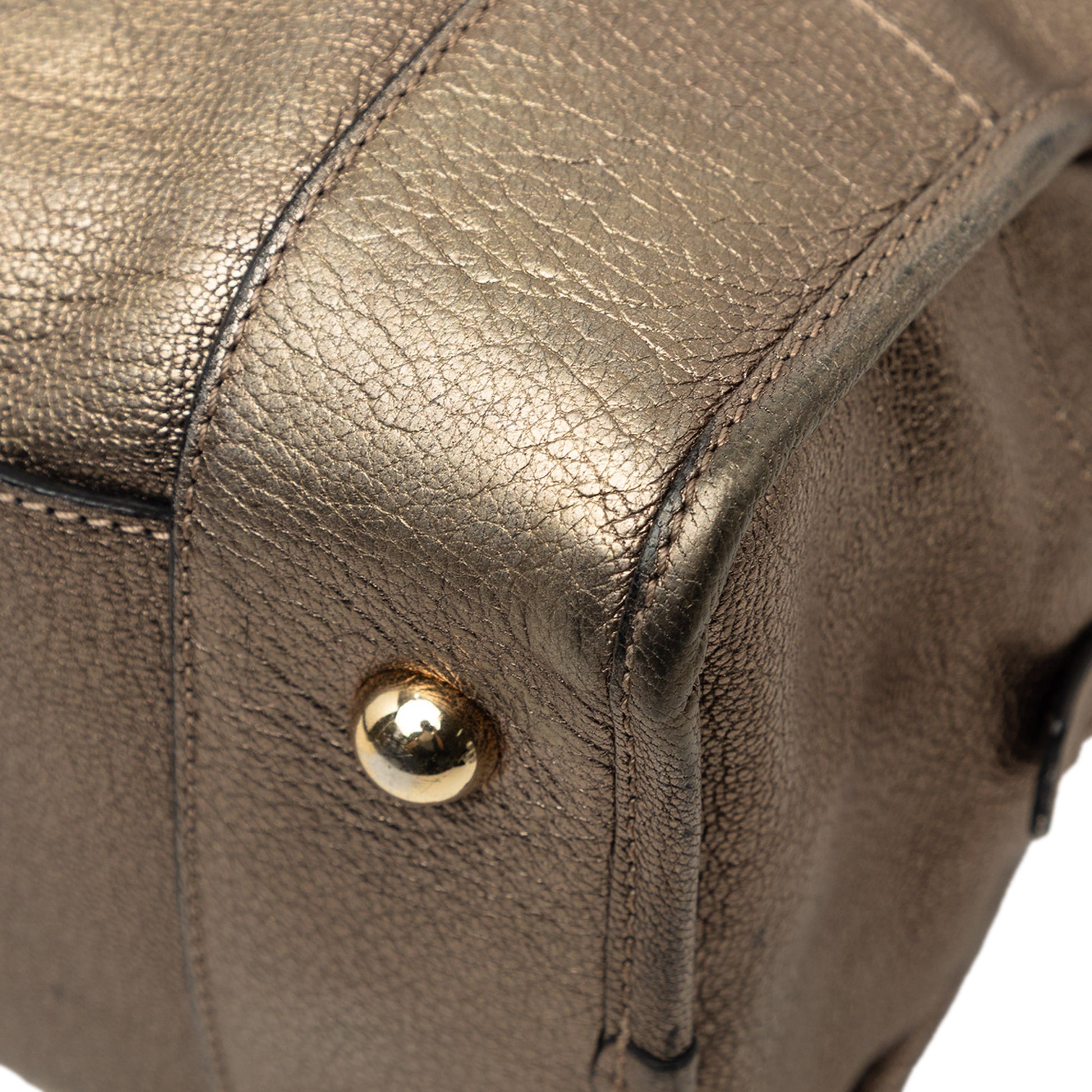 LOEWE Metallic Leather Amazona 35