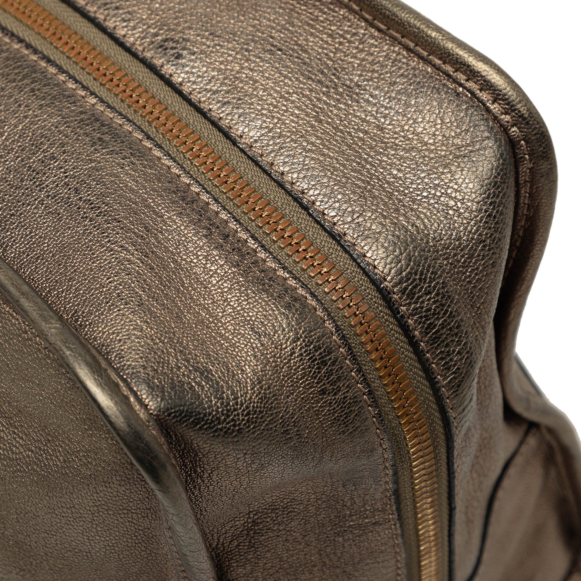 LOEWE Metallic Leather Amazona 35