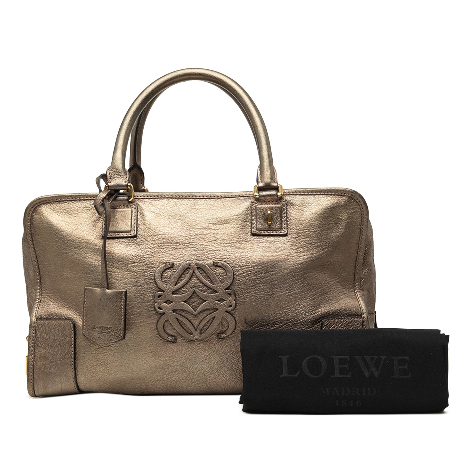 LOEWE Metallic Leather Amazona 35