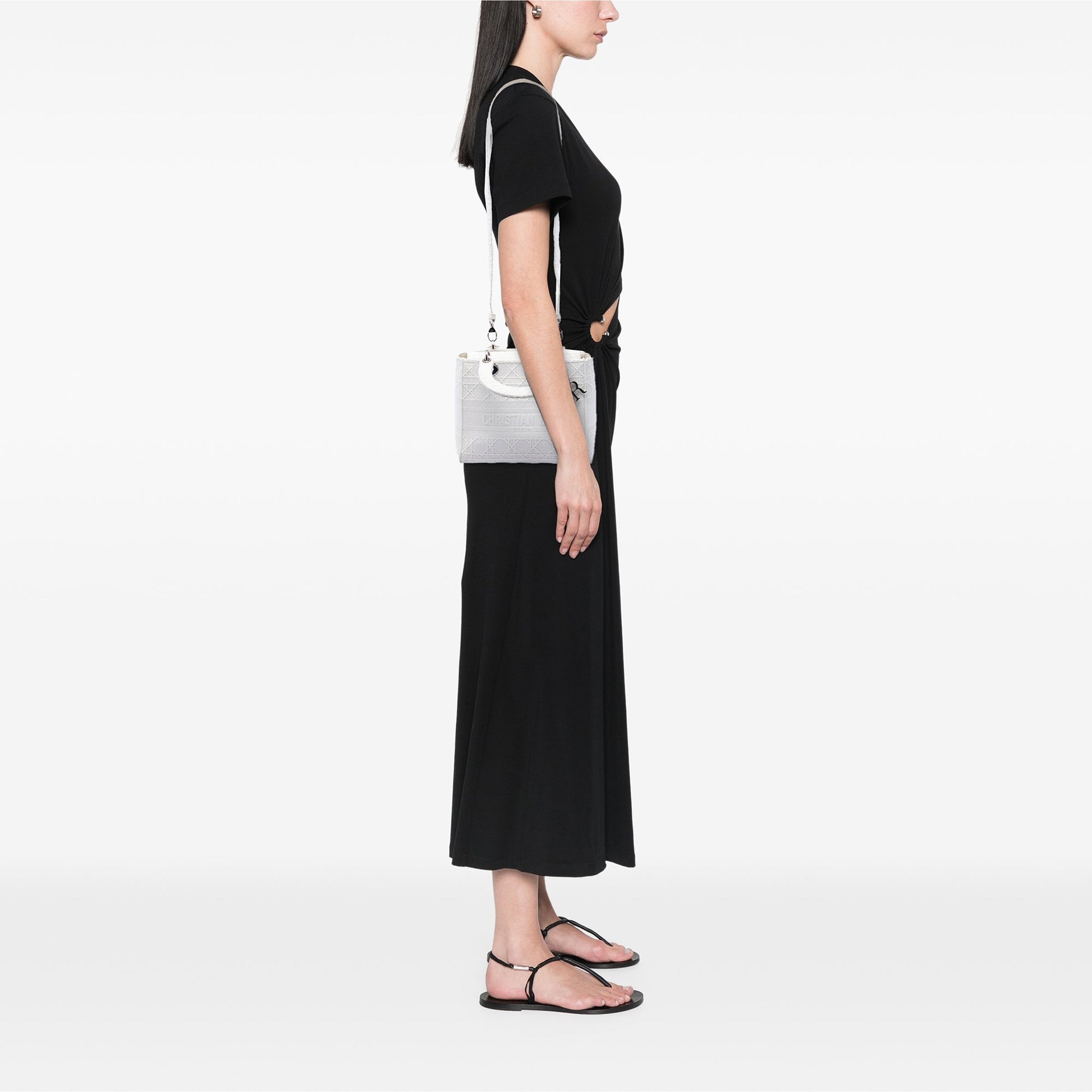Dior Medium Canvas Cannage Lady D Lite