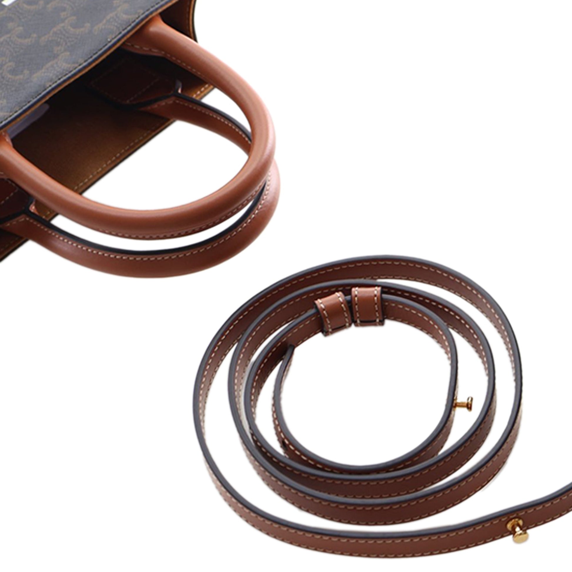 Mini Triomphe Coated Canvas Vertical Cabas Satchel