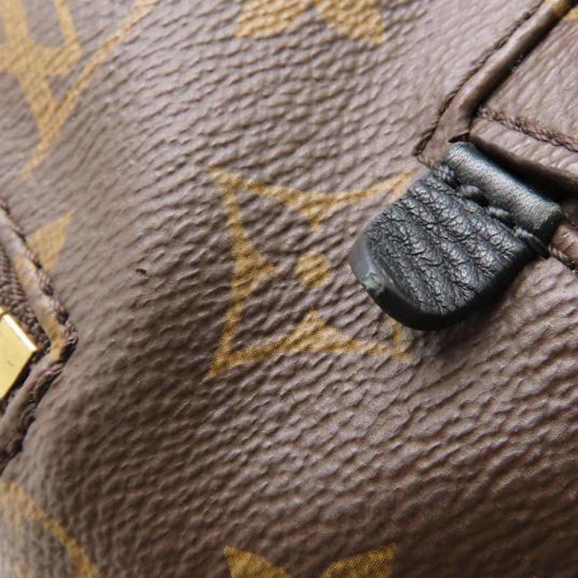 Louis Vuitton Monogram Palm Springs MM