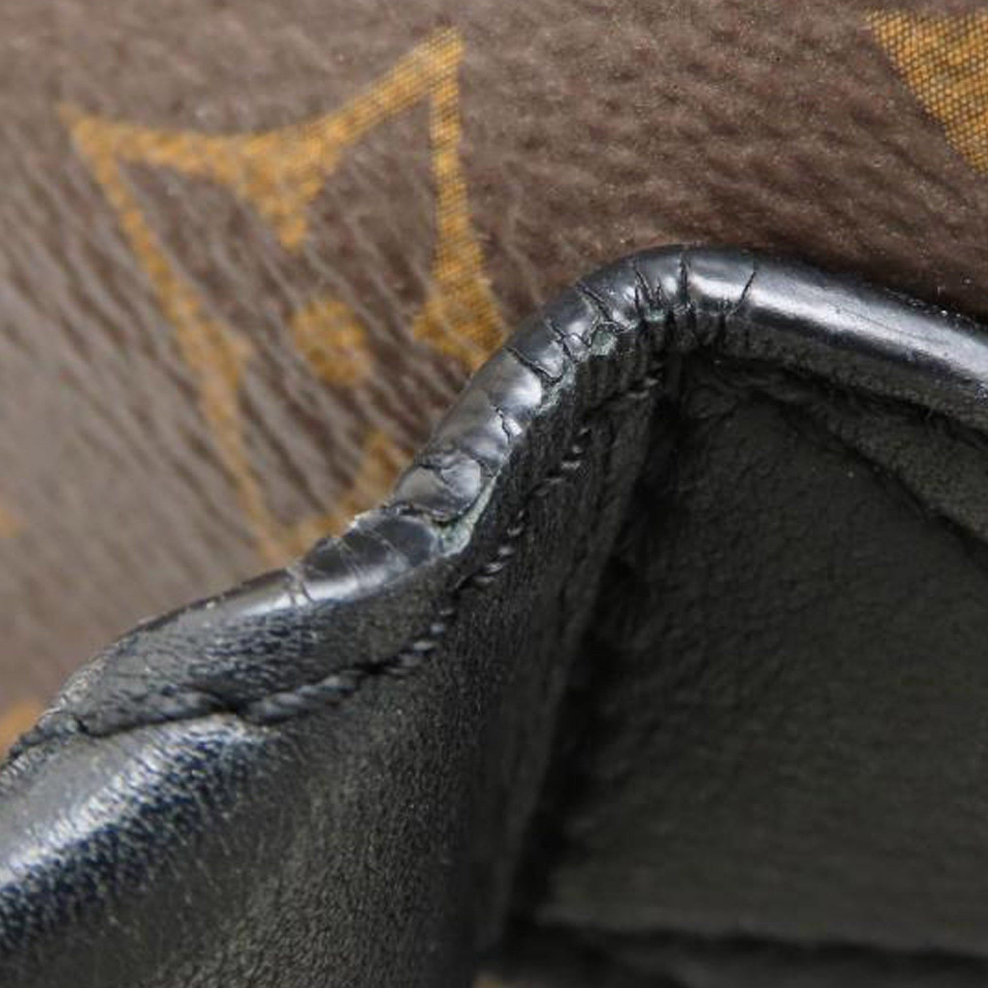 Louis Vuitton Monogram Palm Springs MM