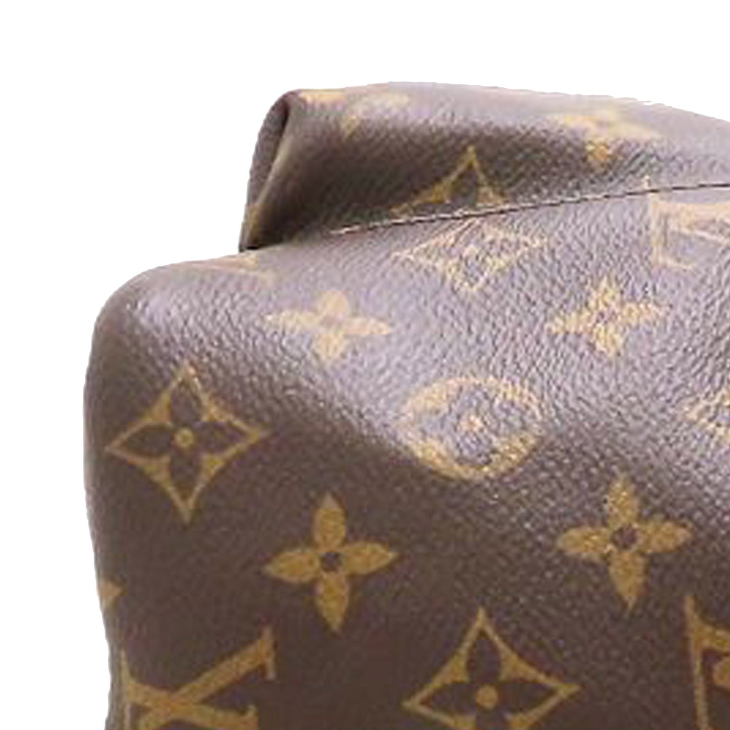 Louis Vuitton Monogram Palm Springs MM