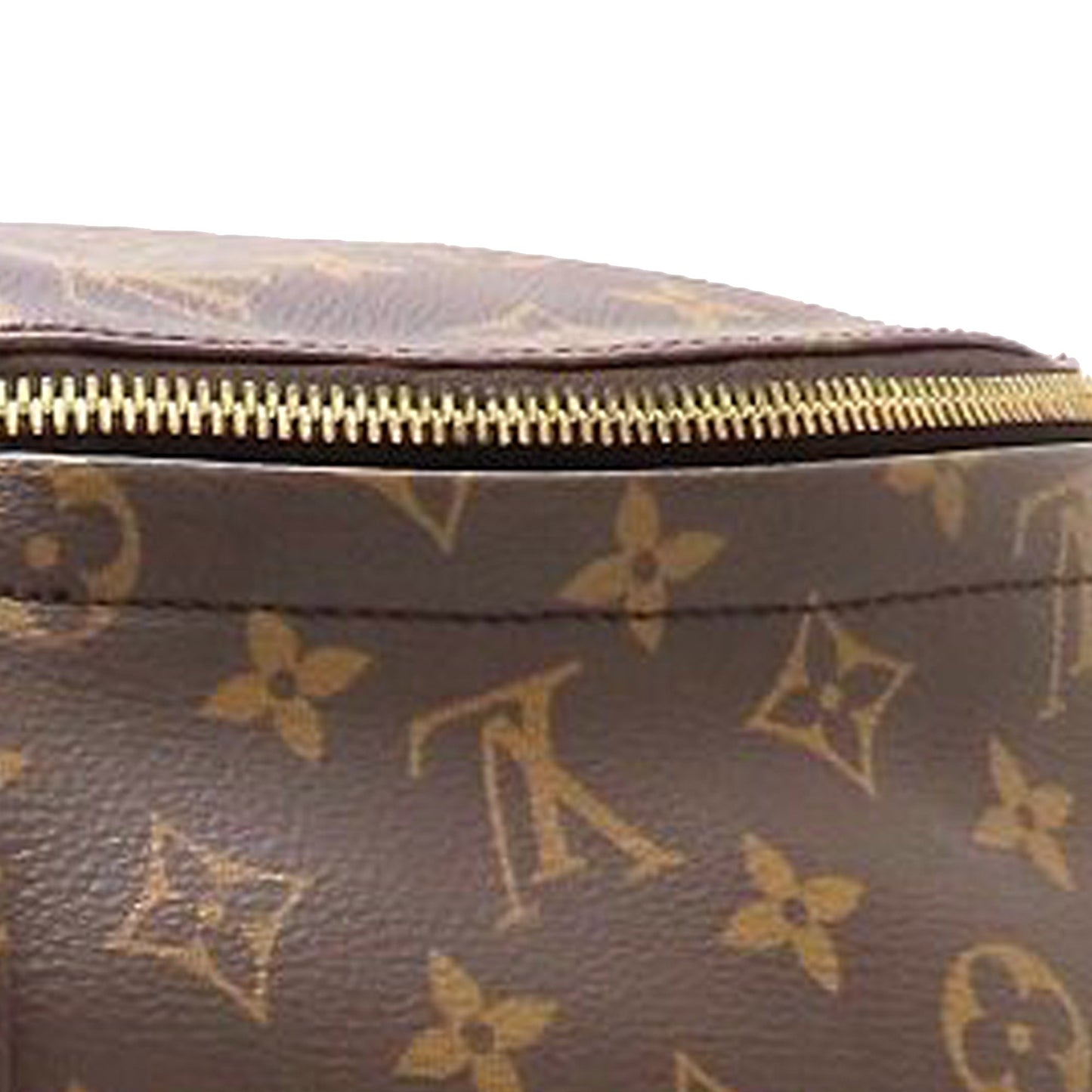 Louis Vuitton Monogram Palm Springs MM